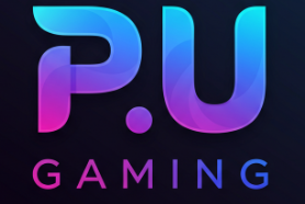 P.U Gaming